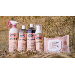 Easy Shine Wipe Ravene Salviette detergenti Easy Shine Wipe Ravene Salviette detergenti