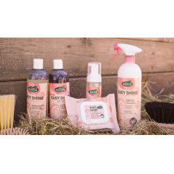 Easy Shine Wipe Ravene Salviette detergenti Easy Shine Wipe Ravene Salviette detergenti