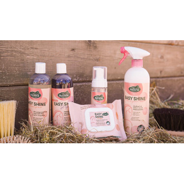 Easy Shine Wipe Ravene Salviette detergenti Easy Shine Wipe Ravene Salviette detergenti