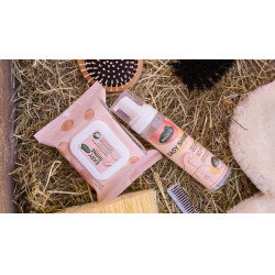 Easy Shine Wipe Ravene Salviette detergenti Easy Shine Wipe Ravene Salviette detergenti