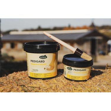 Pediguard Ravene Unguento biondo