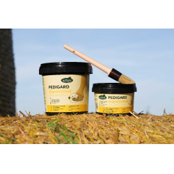 Pediguard Ravene Unguento biondo