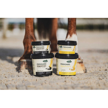 Pediguard Ravene Unguento biondo