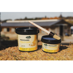 Pediguard Ravene Unguento biondo