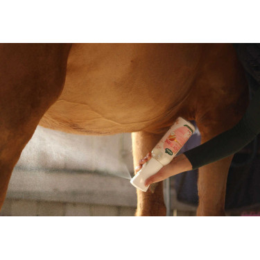 Easy Shine Intense Ravene Easy Shine Intense Ravene