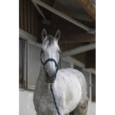 Capezzina + lunghina Equitheme Satinato Marina / turchese Blu