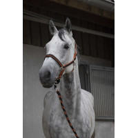 Capezzina + lunghina Equitheme Satinato Marina / turchese Blu