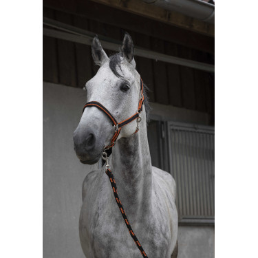 Capezzina + lunghina Equitheme Satinato Nero / arancione Multicolore