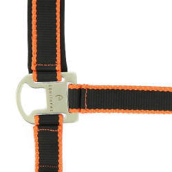 Capezzina + lunghina Equitheme Satinato Nero / arancione Multicolore
