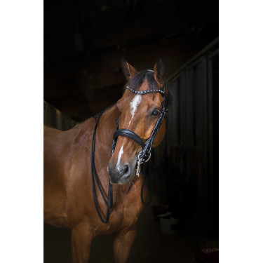 Sottopancia Eric Thomas Hybrid Nero