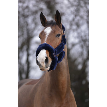 Capestro Equithème Teddy rosa oro Blu navy