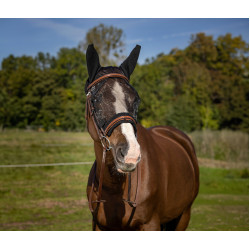 Maschera anti-mosche Equithème Training