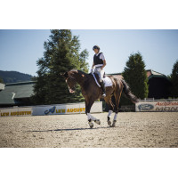 Gilet di protezione Komperdell Frontzip Slim Nero Gilet di protezione Komperdell Frontzip Slim Nero