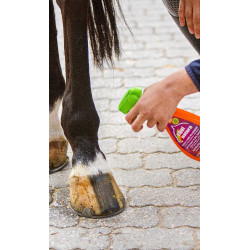 Detergente rapido per manto Equinatura Detergente rapido per manto Equinatura