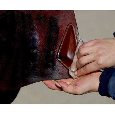 Olio Tipo Grasso di Bue del Maniscalco