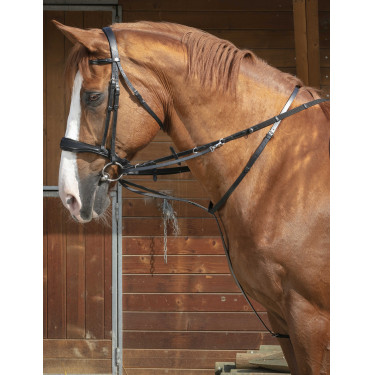 Redini ausiliarie Norton Pro Thiedeman