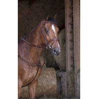 Pettorale elastico Norton Pro Avana Marrone