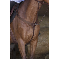 Pettorale elastico Norton Pro Avana Marrone