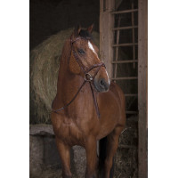 Redini in gomma Norton Pro Avana Marrone