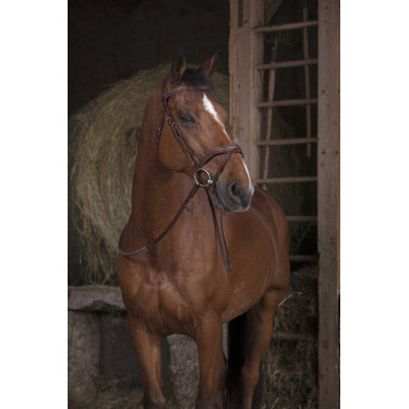 Redini in gomma Norton Pro Avana Marrone