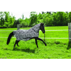 Camicia a rete Riding World Combo Motivo zebra nero / bianco Multicolore