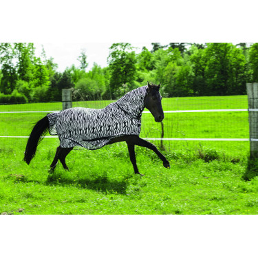 Camicia a rete Riding World Combo Motivo zebra nero / bianco Multicolore
