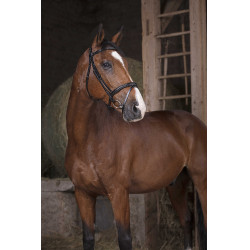 Briglia Norton Pro Combinata Nero Briglia Norton Pro Combinata Nero