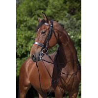 Bride Riding World Nero