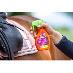 Cura rapida per cuoio Equinatura