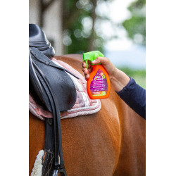 Cura rapida per cuoio Equinatura