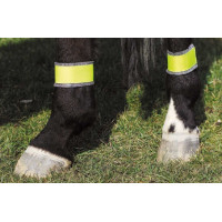 Bendaggi posteriori gialli riflettenti Bendaggi posteriori gialli riflettenti