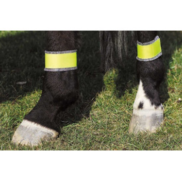 Bendaggi posteriori gialli riflettenti Bendaggi posteriori gialli riflettenti