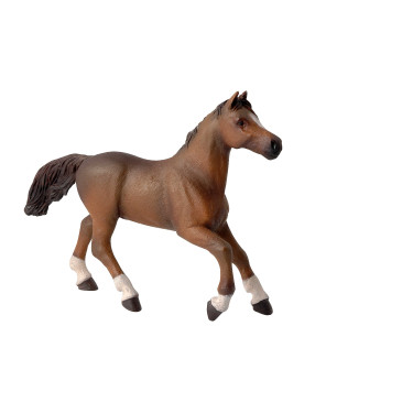 Statuetta Giumenta Anglo-Arabo Papo