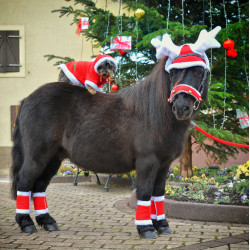 Cuffia natalizia con orecchie a forma di corna di renna