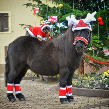 Cuffia natalizia con orecchie a forma di corna di renna