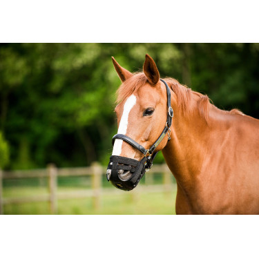 Cesta museruola Norton