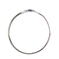 Anello di presentazione