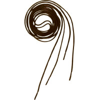 Lacci Equithème Marrone Lacci Equithème Marrone