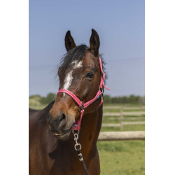 Capezzina Norton Grooming Rosa Antico