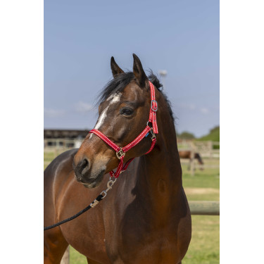 Capezzina Norton Grooming Rosso