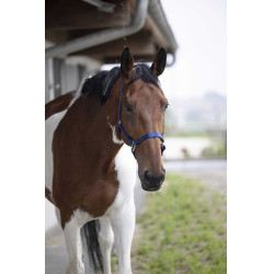Capezzina Equithème Nylon Blu reale