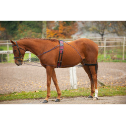 Redini ausiliarie con carrucole Norton