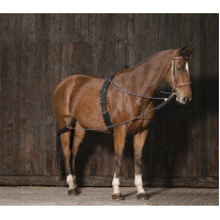 Redini ausiliarie con...