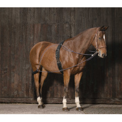 Redini ausiliarie con carrucole Norton