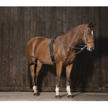 Redini ausiliarie con carrucole Norton