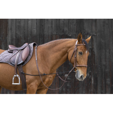 Redine elastica regolabile