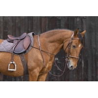 Redine elastica regolabile Redine elastica regolabile