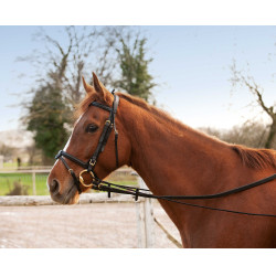 Redine lunga educativa elastica