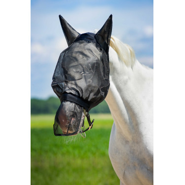 Paranaso in rete anti-mosche