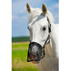 Paranaso in rete anti-mosche